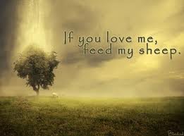 feed my sheep